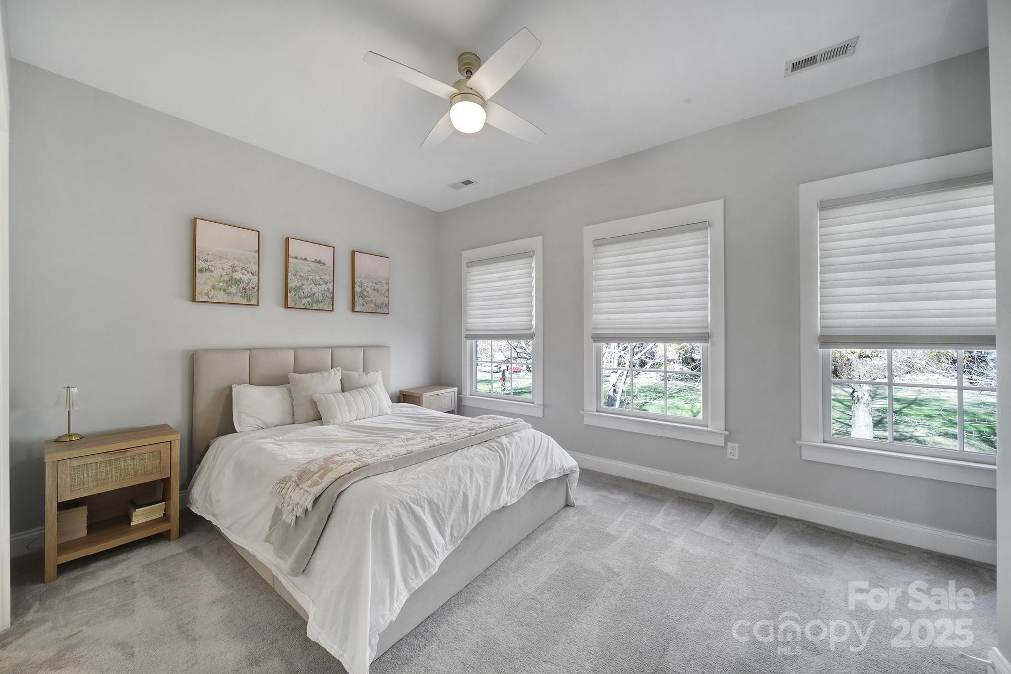 294 Elis Way Fort Mill, SC 29708 - Photo 18 of 44