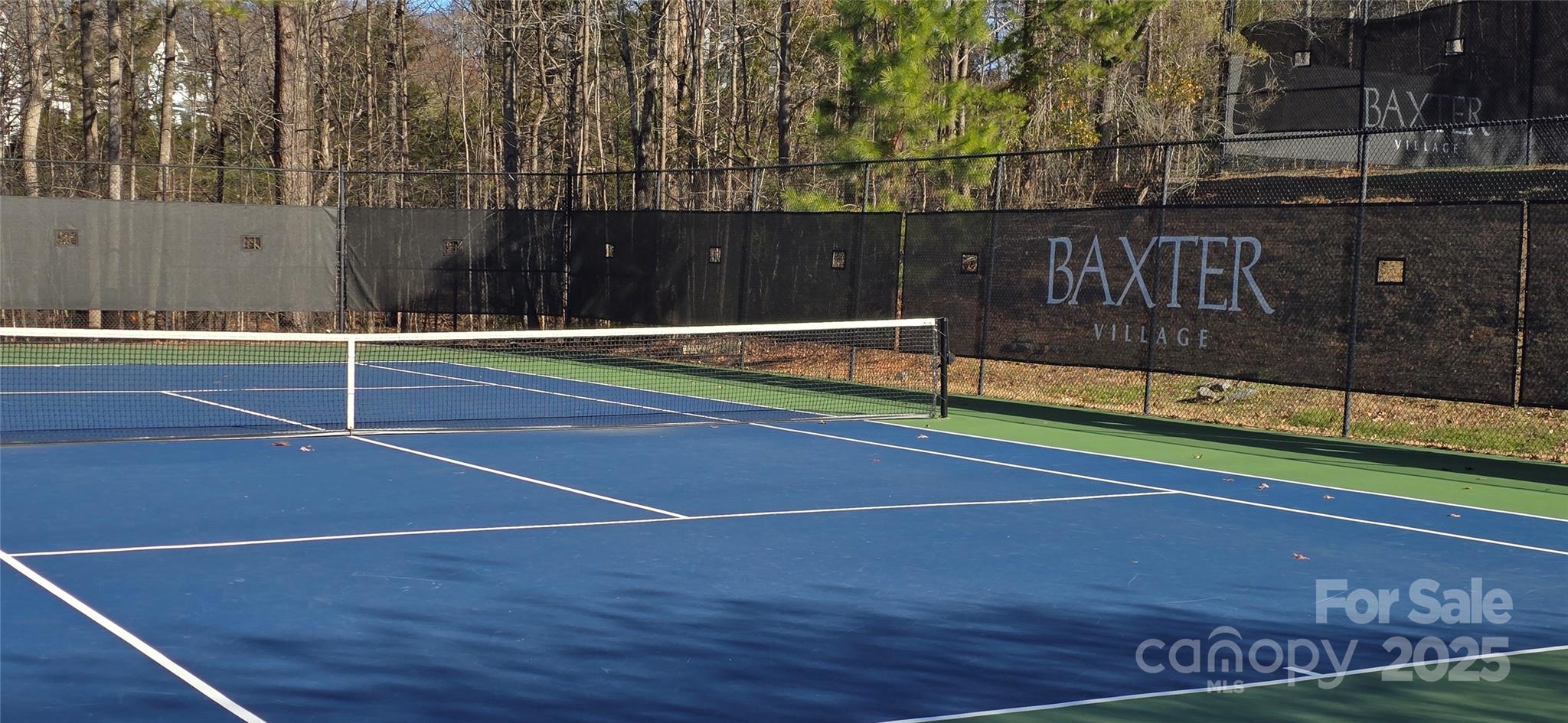 294 Elis Way Fort Mill, SC 29708 - Photo 32 of 44 a view of a tennis court