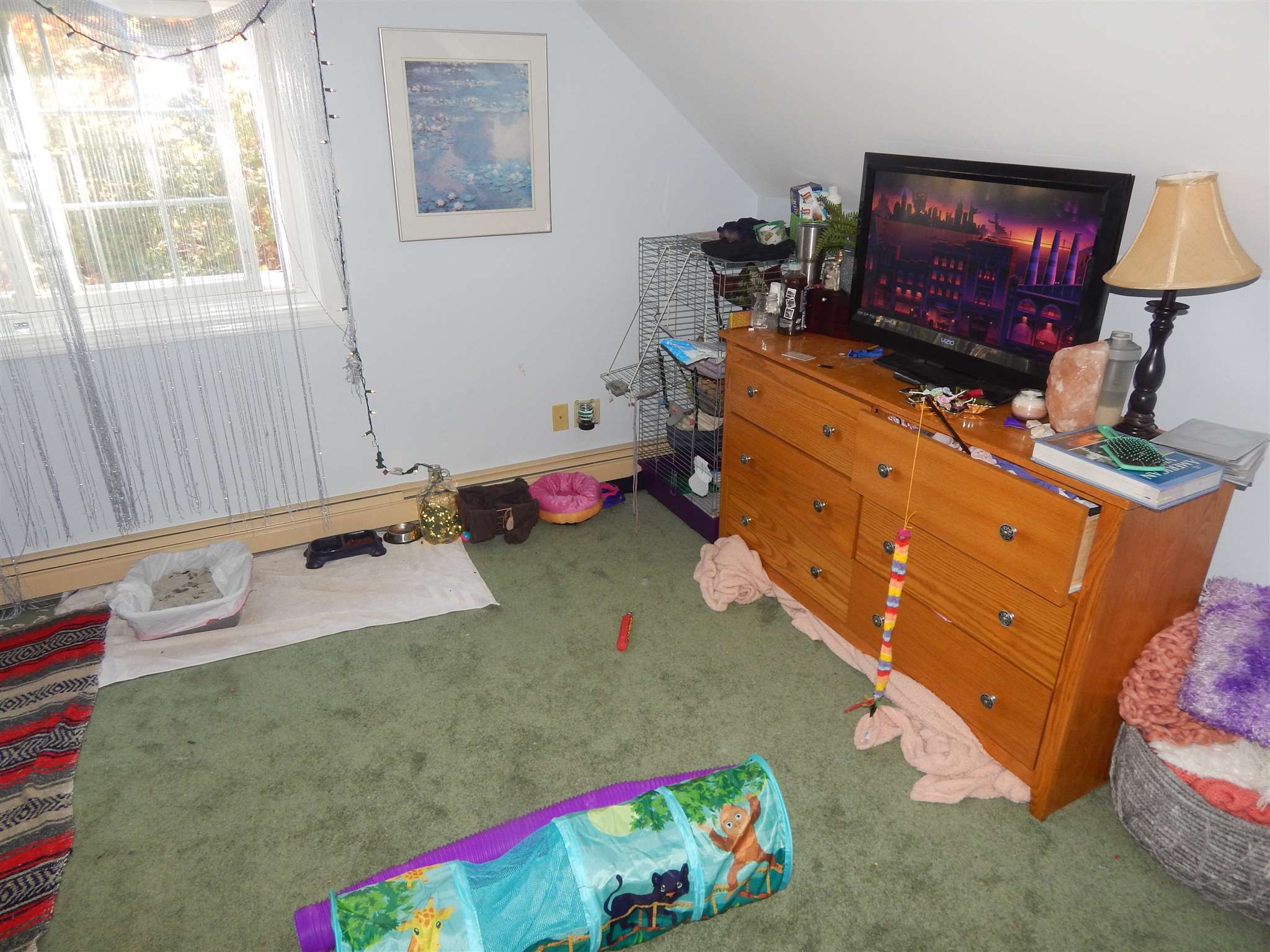 65 Briarcliff Road Gilford, NH 03249 - Photo 21 of 39