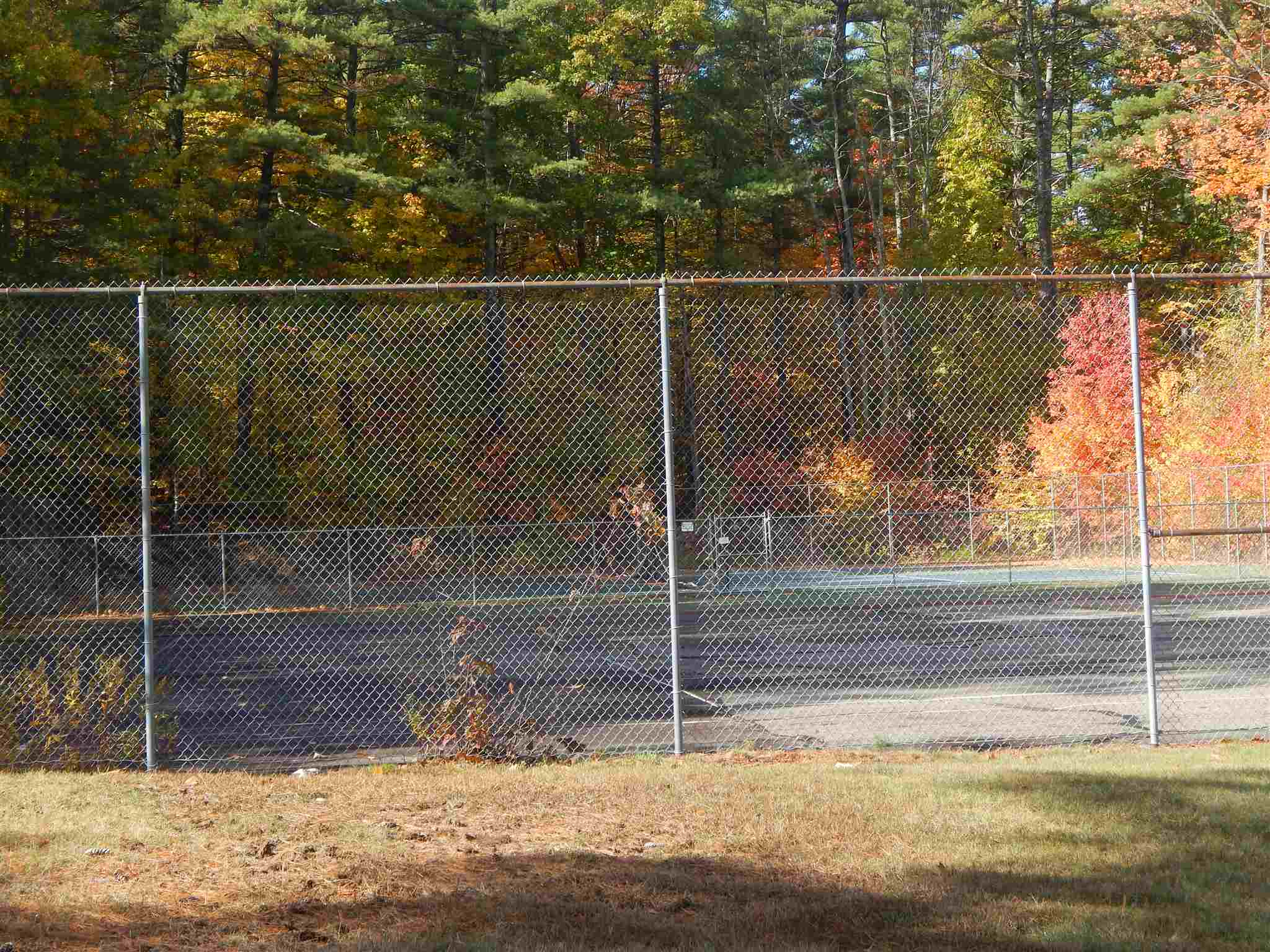 65 Briarcliff Road Gilford, NH 03249 - Photo 29 of 39
