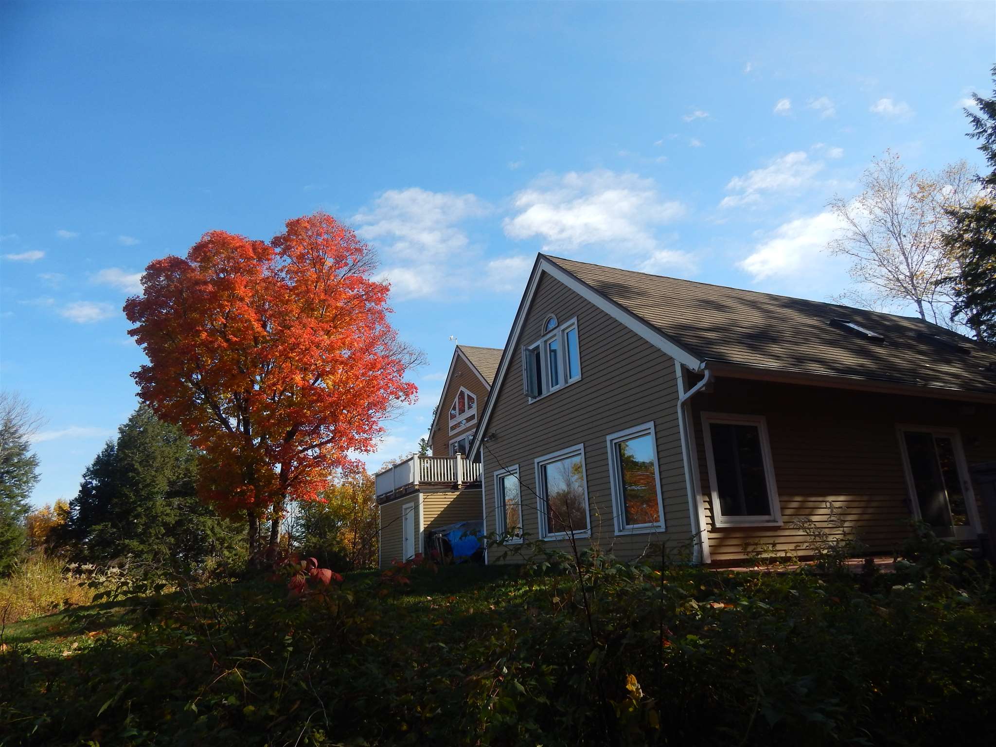 65 Briarcliff Road Gilford, NH 03249 - Photo 37 of 39