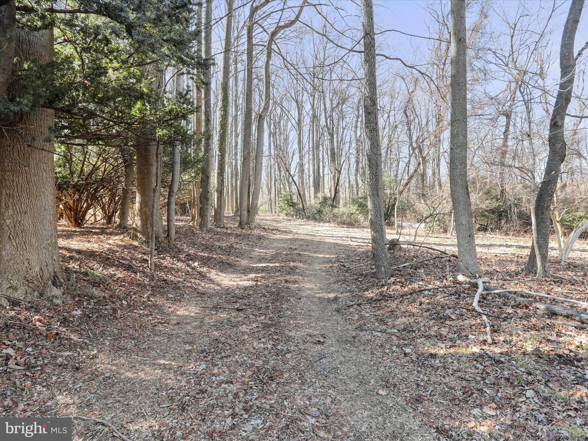 Edgewood Church Road Frederick, MD 21702 - Photo 1 of 19 a backyard of a house with lots of green space