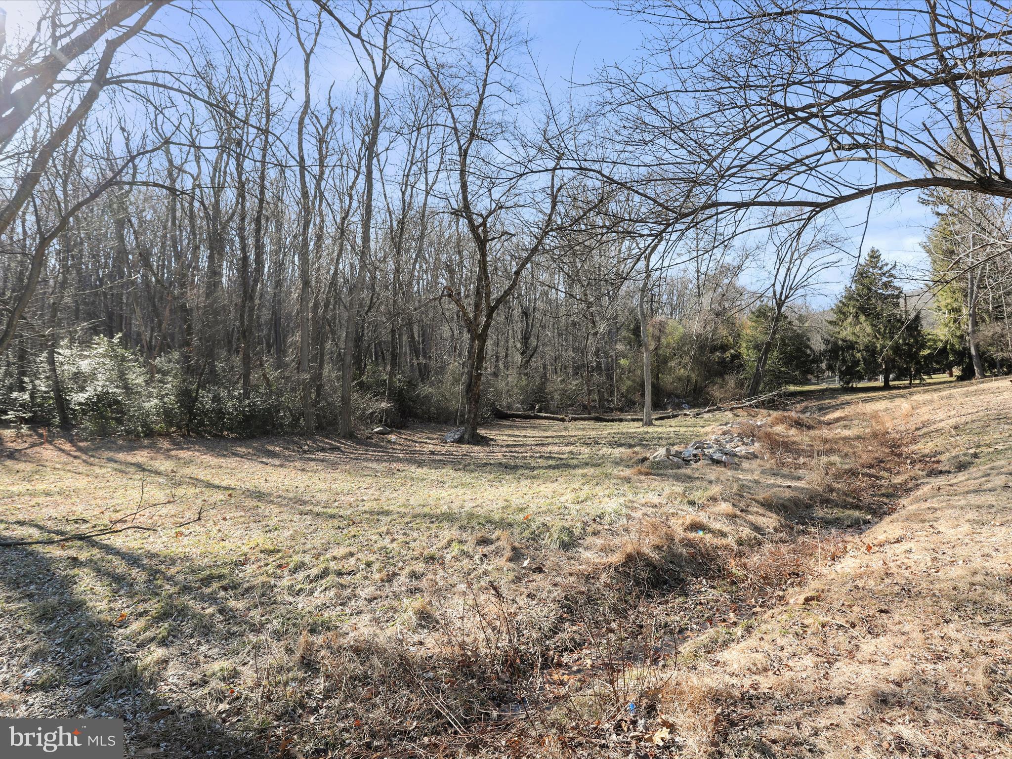 Edgewood Church Road Frederick, MD 21702 - Photo 5 of 19 a view of a yard with large trees