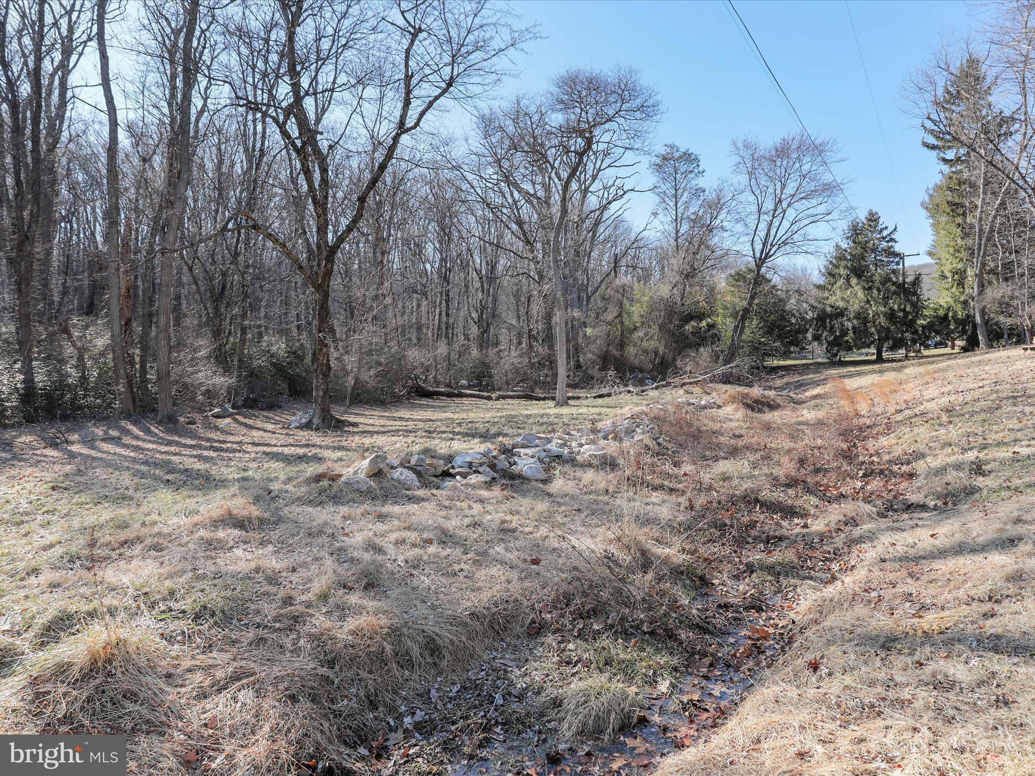 Edgewood Church Road Frederick, MD 21702 - Photo 6 of 19 a view of empty space with large trees