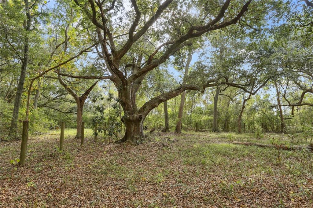 3019 English Turn Road Braithwaite, LA 70040 - Photo 34 of 38