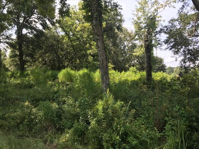8451 Old Georgetown Road McClellanville, SC 29458 - Photo 2 of 3 IMG_1687