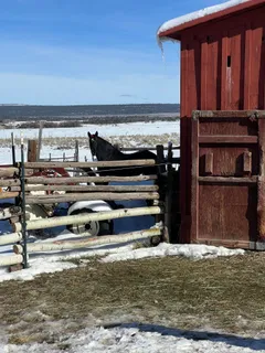 a view of outdoor space