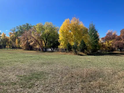 a view of a field with trees