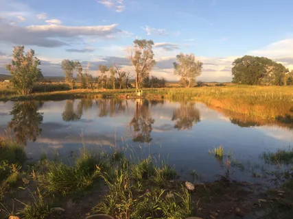 a view of houses with yard