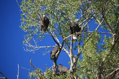 a view of a car park in front of house