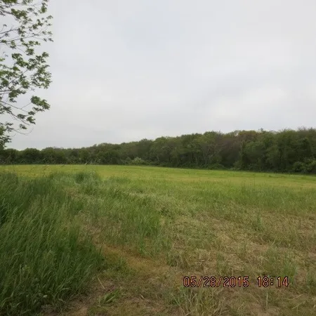 a view of a field with an ocean