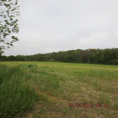 a view of a field with an ocean