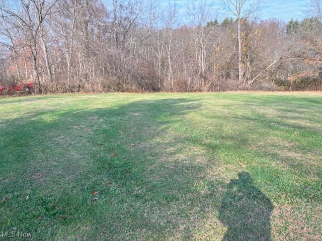 9517 Brick Church Road Cambridge, OH 43725 - Photo 15 of 26 View of yard