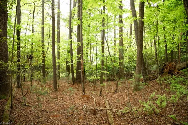 $195,000 | Tbd South Center Church Road, Thurmond, NC 28683