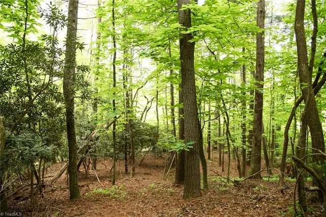 $195,000 | Tbd South Center Church Road, Thurmond, NC 28683