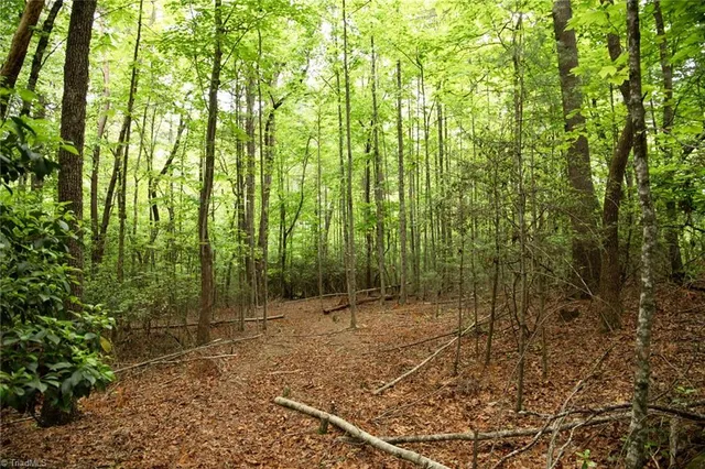 $195,000 | Tbd South Center Church Road, Thurmond, NC 28683