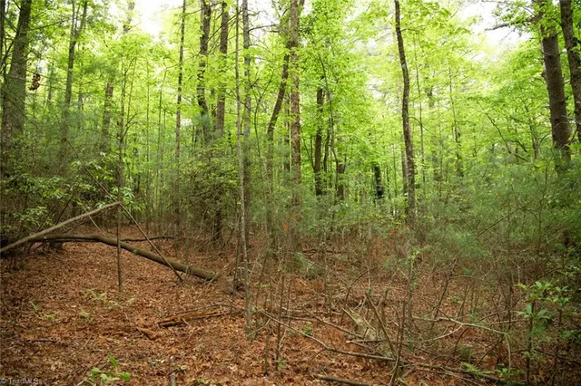 $195,000 | Tbd South Center Church Road, Thurmond, NC 28683