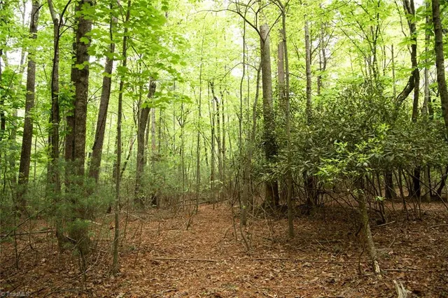 $195,000 | Tbd South Center Church Road, Thurmond, NC 28683