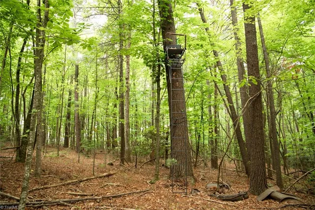 $195,000 | Tbd South Center Church Road, Thurmond, NC 28683