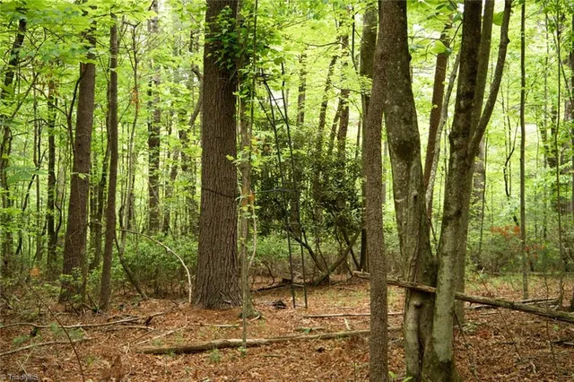 $195,000 | Tbd South Center Church Road, Thurmond, NC 28683