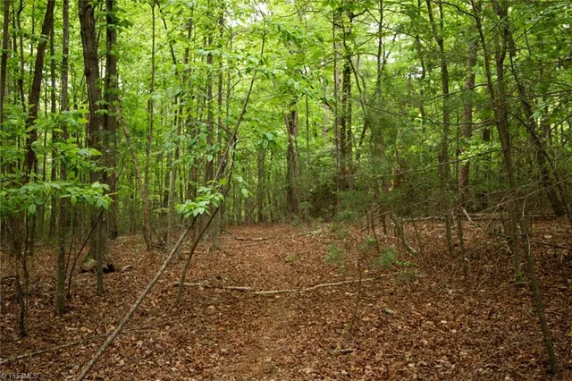 $195,000 | Tbd South Center Church Road, Thurmond, NC 28683