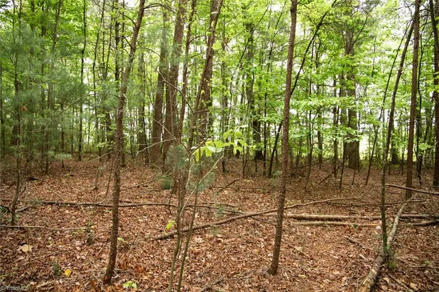 $195,000 | Tbd South Center Church Road, Thurmond, NC 28683