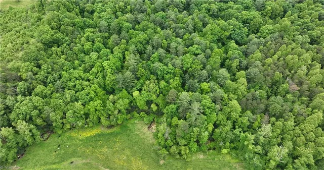 $195,000 | Tbd South Center Church Road, Thurmond, NC 28683