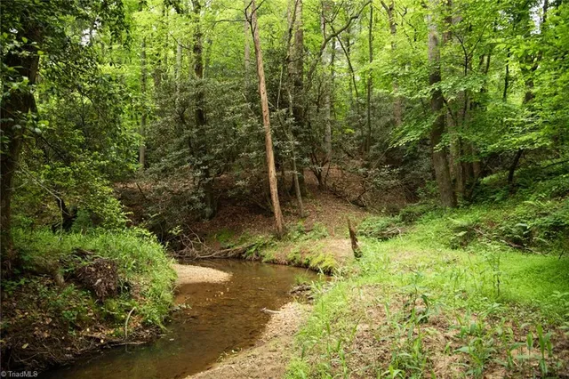 $195,000 | Tbd South Center Church Road, Thurmond, NC 28683