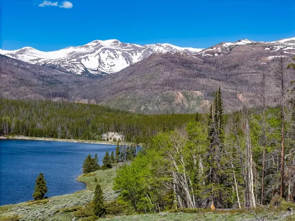 $750,000 | 0 West W Highway, Bellvue, CO 80512