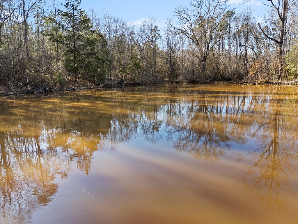0 Abercrombie Road Honea Path, SC 29654 - Photo 5 of 5