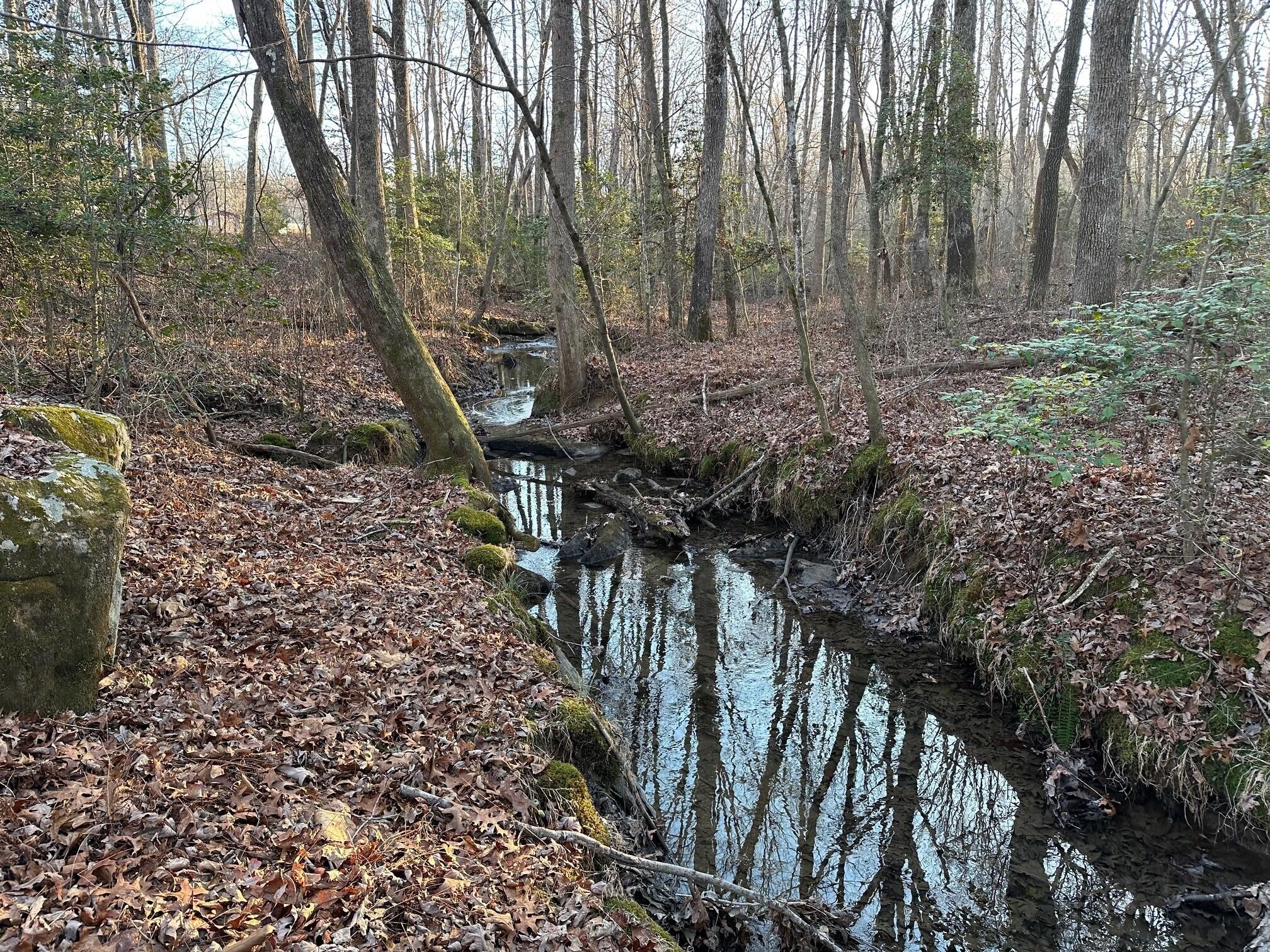 4 Newt Meeks Road Tracy City, TN 37387 - Photo 1 of 5 Gallery Image 1