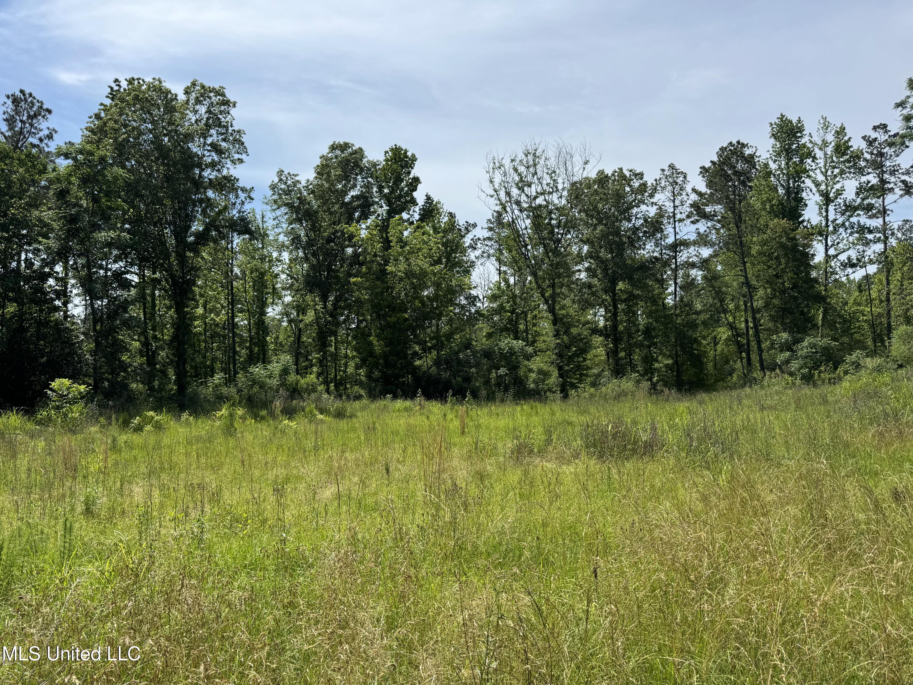 1228 Boyd Road Utica, MS 39175 - Photo 1 of 1 land