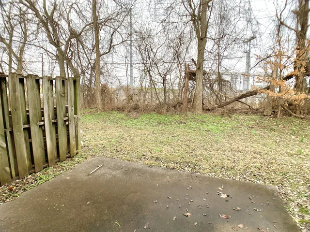 a view of a yard with large trees