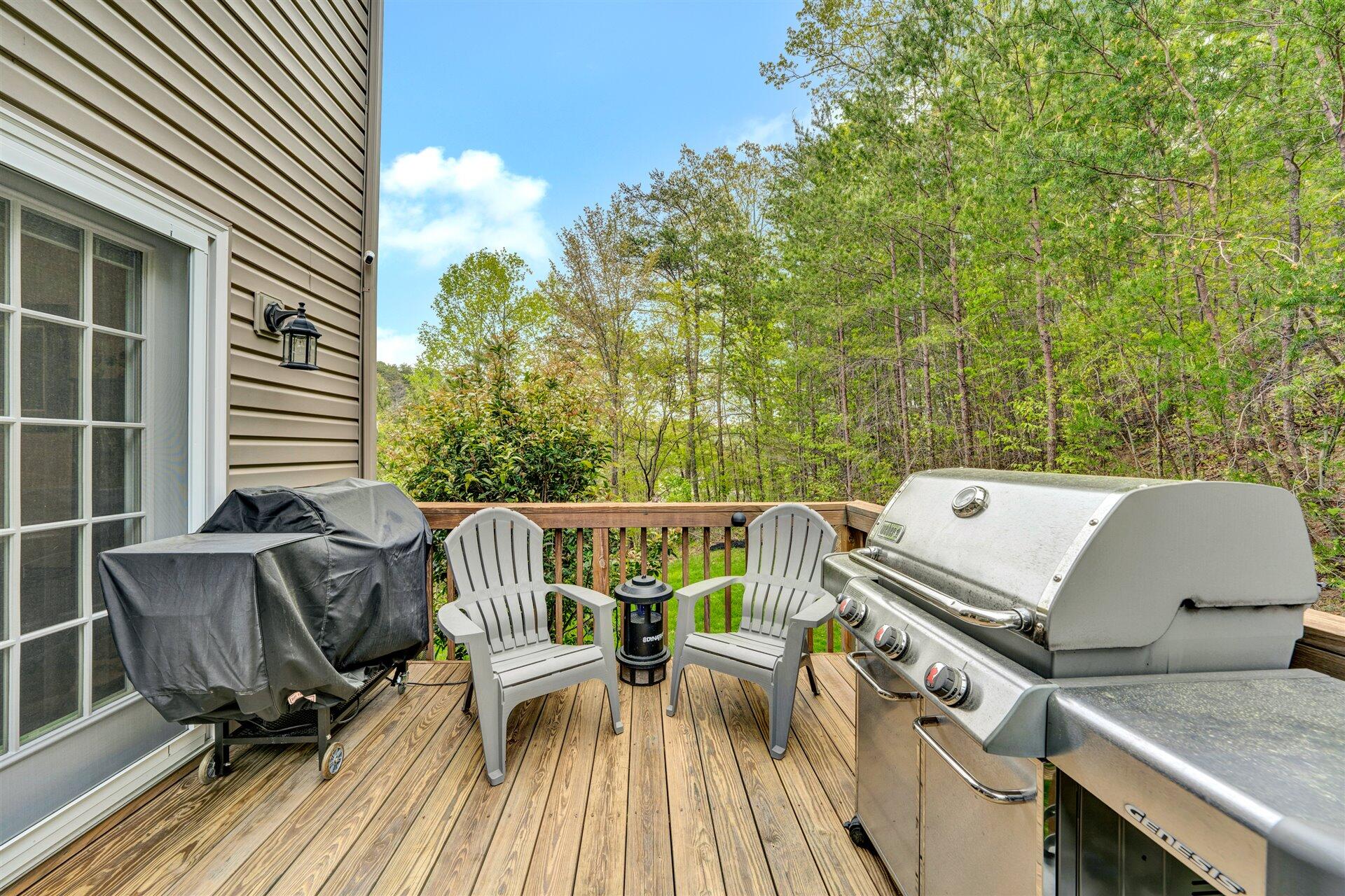 1394 Fieldgate Road Salem, VA 24153 - Photo 13 of 44 13-DSC00034