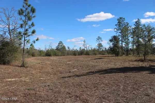 $249,000 | 5015 Northwest County Road 274, Altha, FL 32421