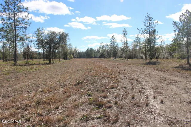 $249,000 | 5015 Northwest County Road 274, Altha, FL 32421