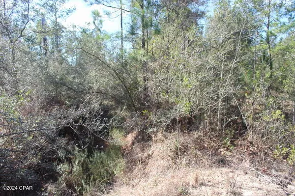 $249,000 | 5015 Northwest County Road 274, Altha, FL 32421