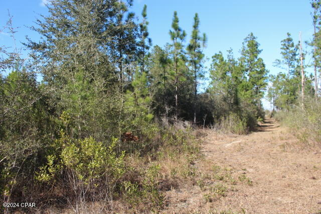 5015 Northwest County Road 274 Altha, FL 32421 - Photo 10 of 15