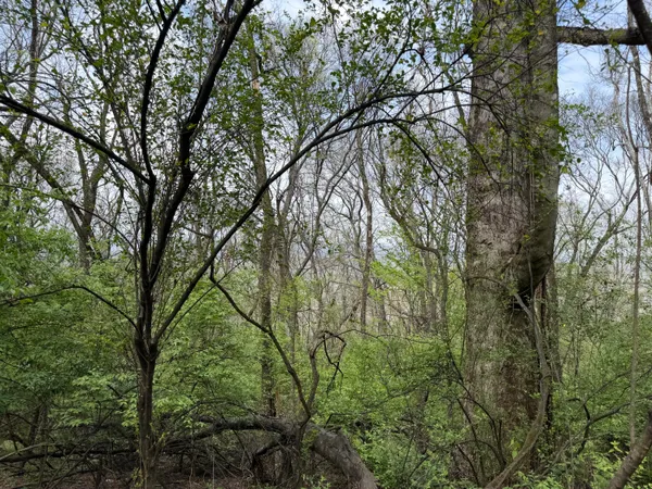 $300,000 | 6583 Fairview Road, Hixson, TN 37343