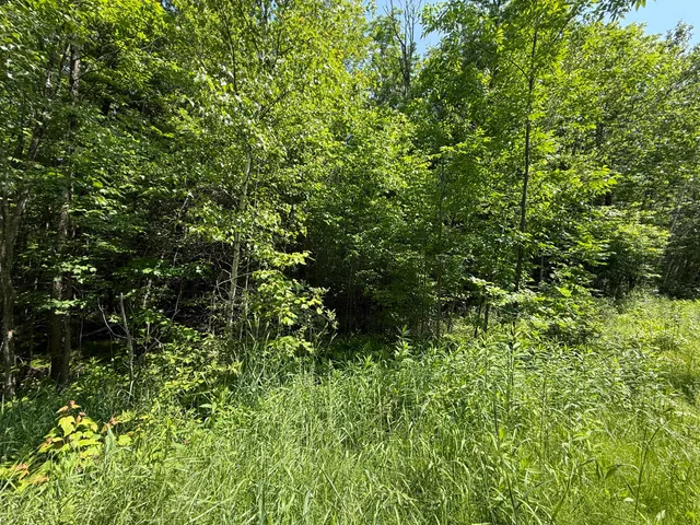 $25,000 | 158-050-1 158-050-1 Vfw Street, Lincoln, ME 04457