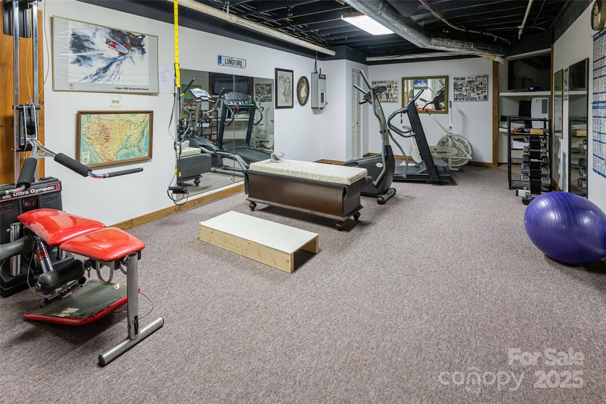 69 Forest Road Asheville, NC 28803 - Photo 38 of 48 a room with gym equipment and a flat screen tv
