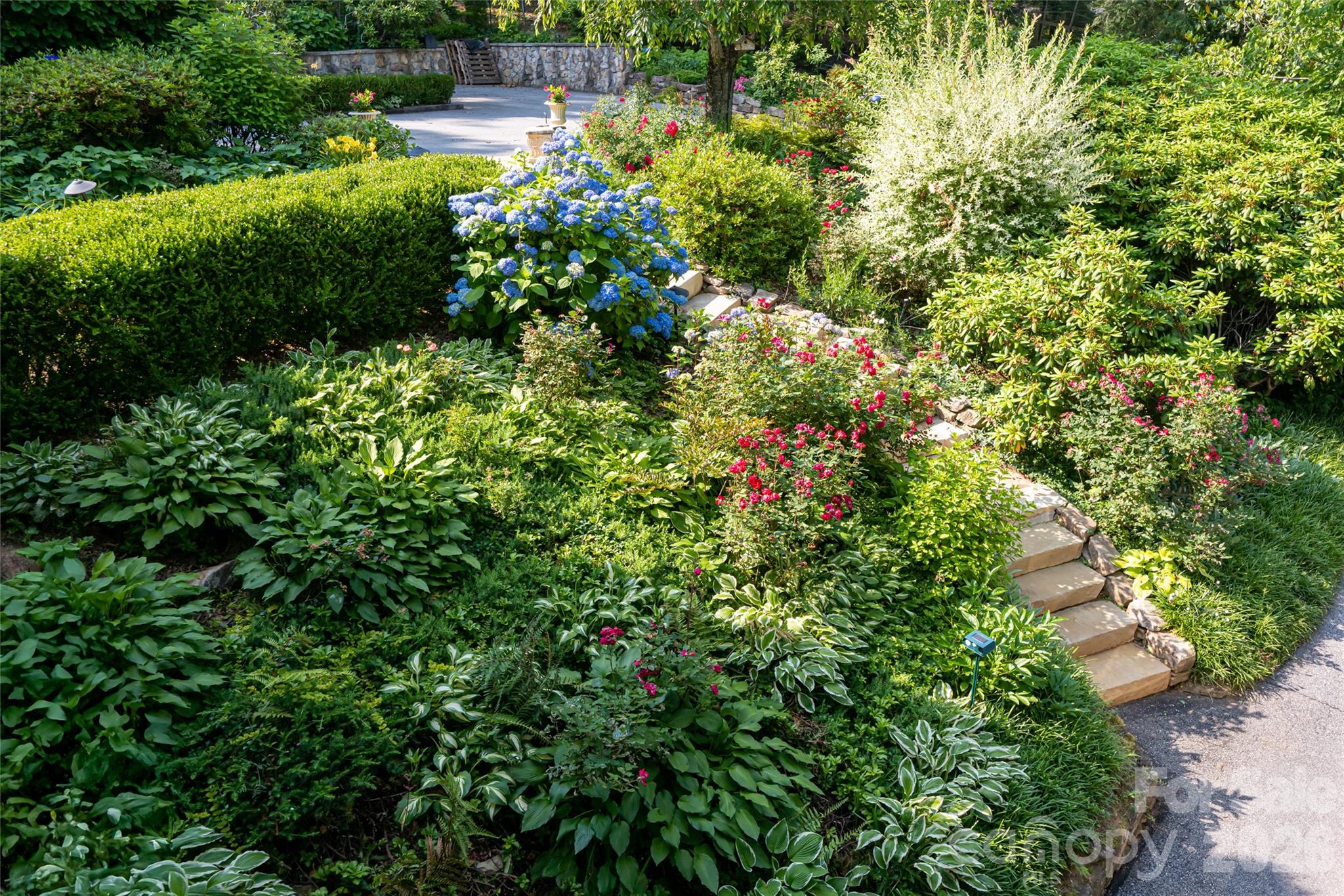 69 Forest Road Asheville, NC 28803 - Photo 42 of 48