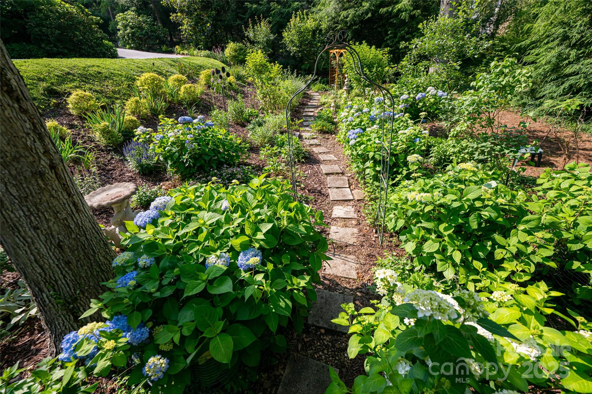 69 Forest Road Asheville, NC 28803 - Photo 42 of 48 a backyard of a house with lots of green space
