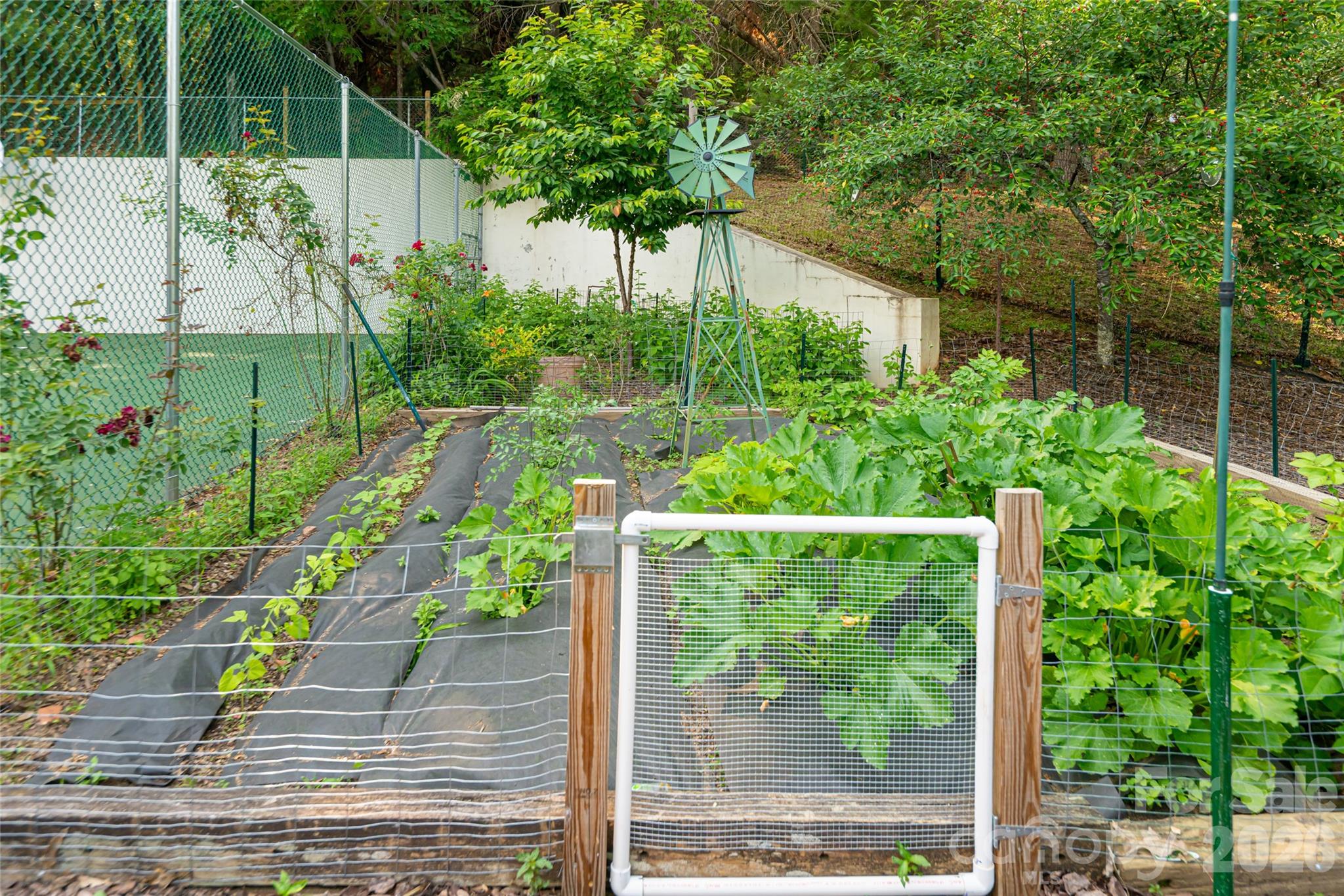 69 Forest Road Asheville, NC 28803 - Photo 43 of 48