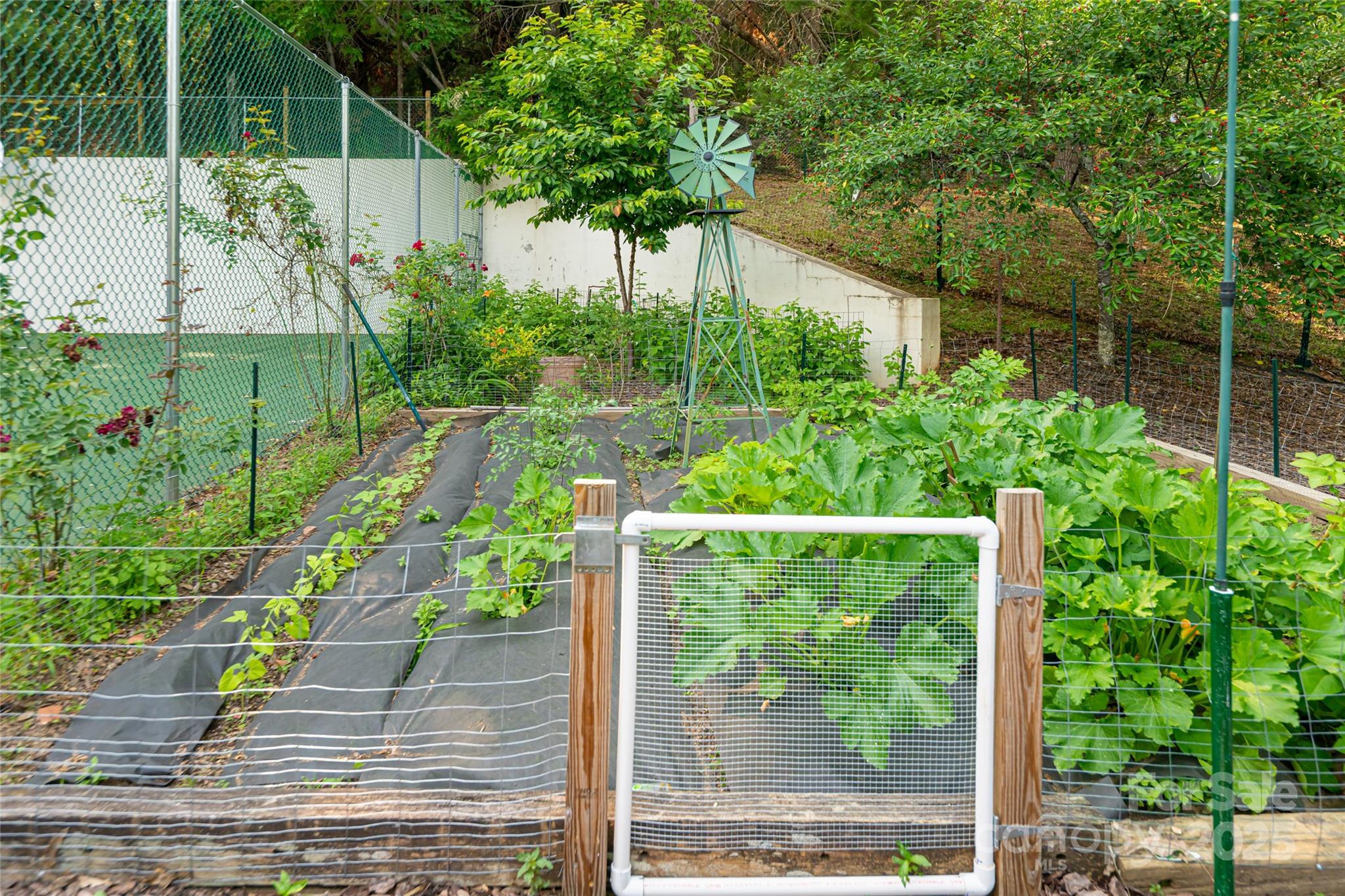 69 Forest Road Asheville, NC 28803 - Photo 43 of 48