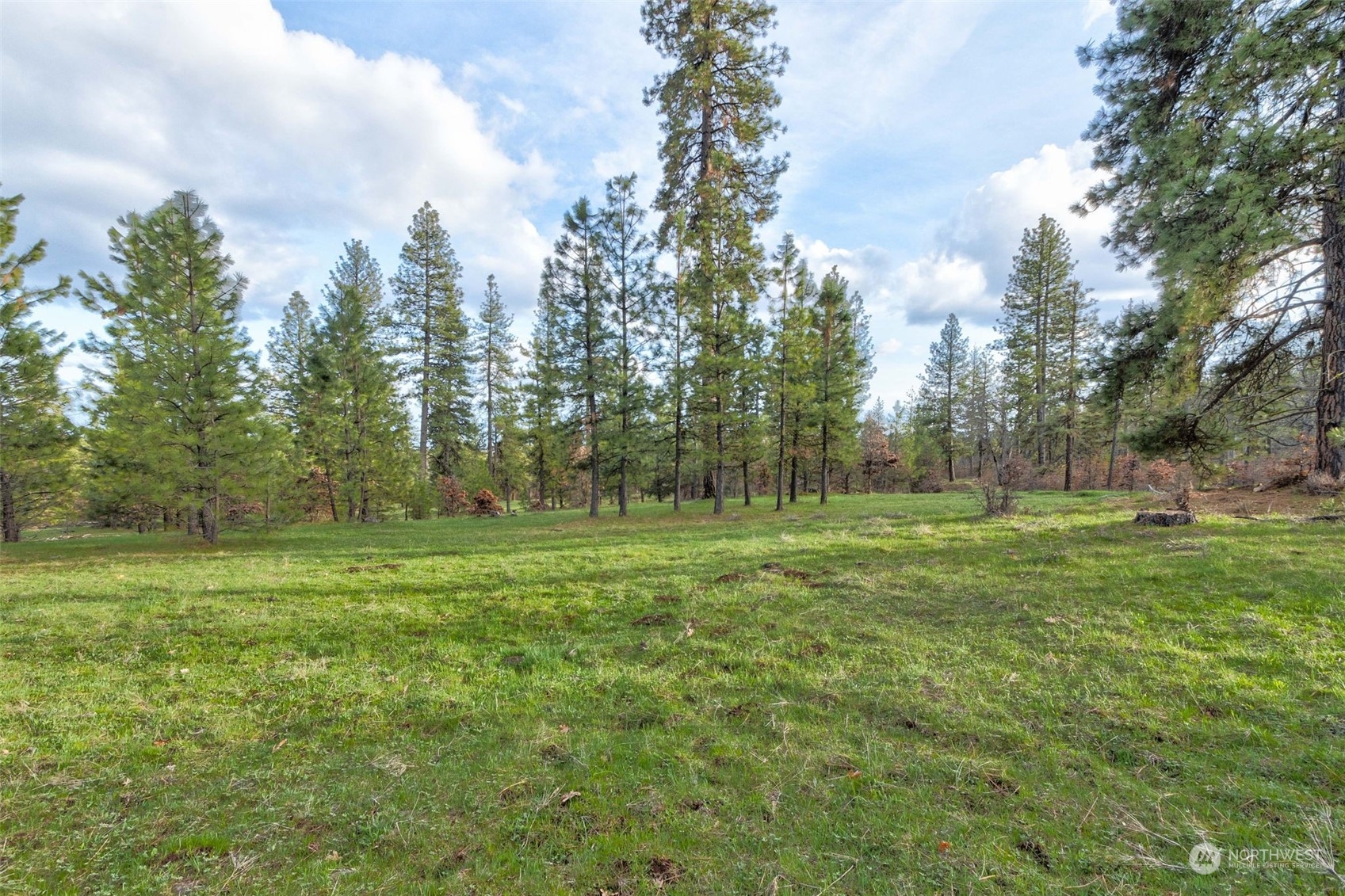 14 Greyback Mt Road Goldendale, WA 98620 - Photo 5 of 25 Gallery Image 5