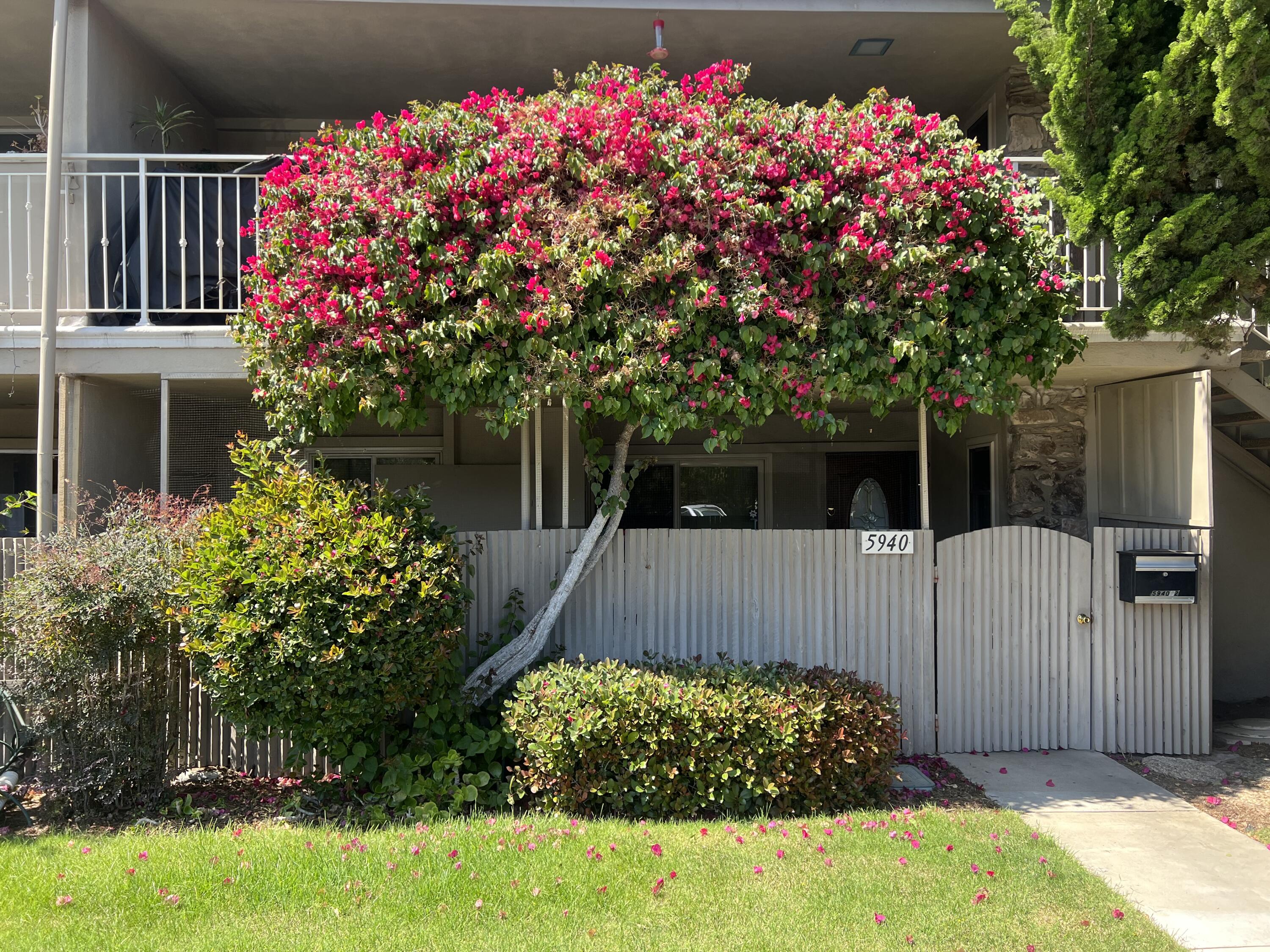 5940 Encina Road, Unit 2 Goleta, CA 93117 - Photo 1 of 1 IMG_1515