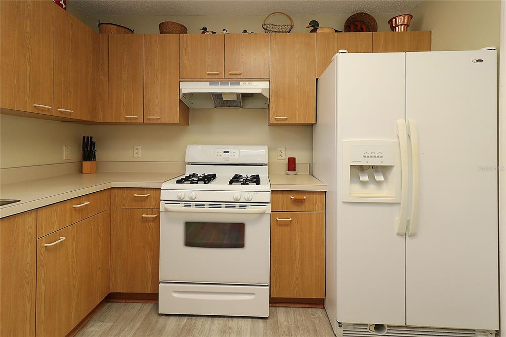 1482 Azteca Loop The Villages, FL 32162 - Photo 13 of 42