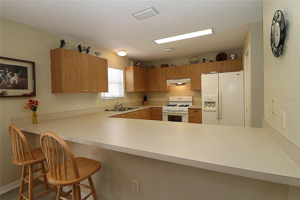 1482 Azteca Loop The Villages, FL 32162 - Photo 10 of 42