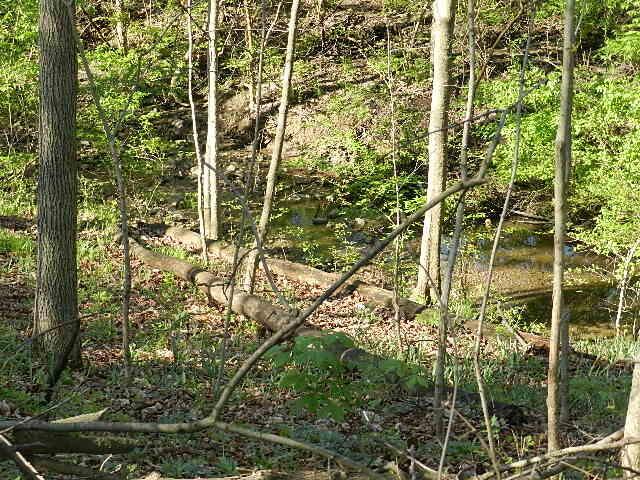 2647 Ferris Road Columbus, OH 43224 - Photo 2 of 30 Stream on lot